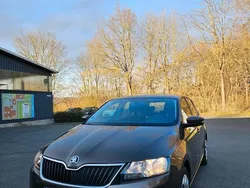 Braun Gebraucht 2019 Skoda Rapid Cool Edition Limousine | 11.495 €