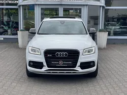 Weiß Gebraucht 2014 Audi SQ5 Ambiente SUV | 19.999 € (Etwas zu teuer)
