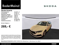 Weiß Gebraucht 2021 Skoda Octavia Ambition Kombi | 19.330 € (Fairer Preis)