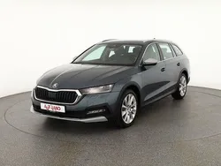 Grau Gebraucht 2022 Skoda Octavia Kombi | 31.950 € (Superpreis)