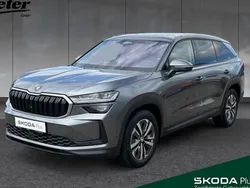 Grau Gebraucht 2024 Skoda Kodiaq Selection SUV | 49.490 € (Fairer Preis)