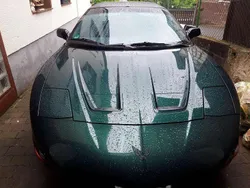 Grün Gebraucht 1995 Pontiac Firebird Coupé | 6.900 €