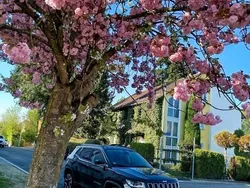 Schwarz Gebraucht 2021 Jeep Compass Limited SUV | 19.700 € (Fairer Preis)