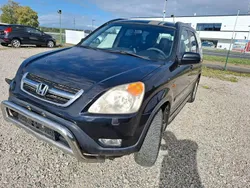 Schwarz Gebraucht 2002 Honda CR-V LS SUV | 1.999 € (Superpreis)
