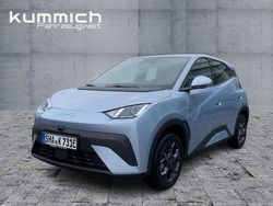 Blau Neu 2025 BYD Dolphin Boost Kleinwagen | 23.740 € (Fairer Preis)