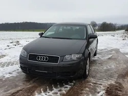 Schwarz Gebraucht 2004 Audi A3 Attraction Limousine | 2.000 € (Guter Preis)