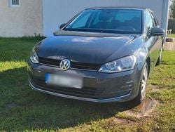 Grau Gebraucht 2016 VW Golf VII Allstar Kleinwagen | 9.500 € (Guter Preis)