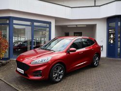 Lucidrot metallic Gebraucht 2024 Ford Kuga ST-Line SUV | 25.750 € (Superpreis)