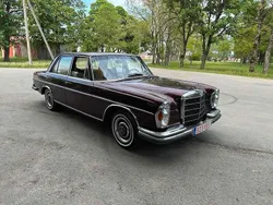 Rot Gebraucht 1965 Mercedes 250 Limousine | 12.000 €