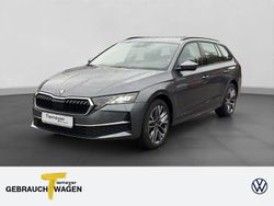 Grau Gebraucht 2025 Skoda Octavia Selection Kombi | 34.870 € (Fairer Preis)