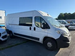 Weiß Gebraucht 2023 Opel Movano Edition Van | 18.999 € (Superpreis)