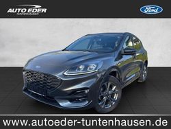 Grau Gebraucht 2022 Ford Kuga ST-Line X SUV | 28.950 € (Teuer)