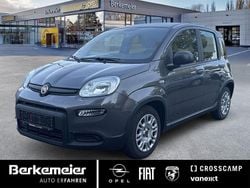 Grau Gebraucht 2023 Fiat Panda Tech Kleinwagen | 11.925 € (Fairer Preis)