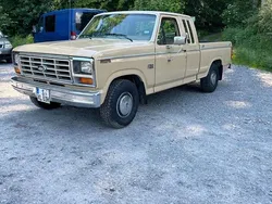 Beige Gebraucht 1983 Ford F-150 Abholung | 20.500 €