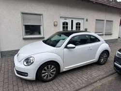 VW Beetle