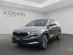 Graphitgrau metallic Neu 2025 Skoda Karoq Tour SUV | 39.890 € (Teuer)