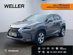 Grau Gebraucht 2015 Lexus NX300h E-FOUR Luxury Line SUV | 23.880 € (Guter Preis)