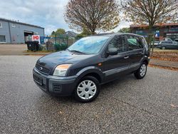 Grau Gebraucht 2007 Ford Fusion Fun X Limousine | 3.499 € (Etwas zu teuer)