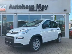 Weiss Gebraucht 2023 Fiat Panda Kleinwagen | 11.719 € (Guter Preis)