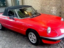 Rot Gebraucht 1985 Alfa Romeo Spider Cabrio | 9.000 €