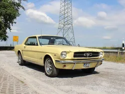 Gelb Gebraucht 1964 Ford Mustang Coupé | 38.000 €