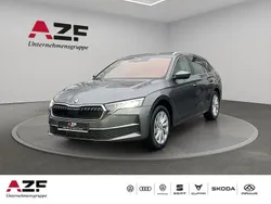 Grau Neu 2025 Skoda Octavia Selection Kombi | 28.990 € (Superpreis)