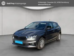 Grau Gebraucht 2024 Skoda Fabia Selection Kleinwagen | 17.680 € (Guter Preis)