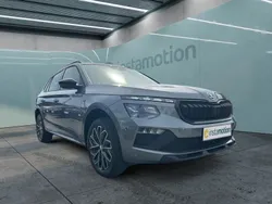 Grau Gebraucht 2024 Skoda Kamiq Selection SUV | 25.374 € (Etwas zu teuer)