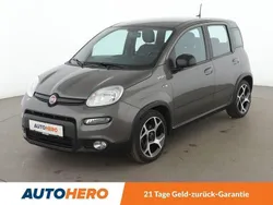 Grau Gebraucht 2021 Fiat Panda Sport Kleinwagen | 11.700 € (Fairer Preis)