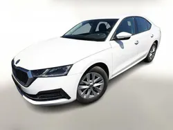 Candy white Gebraucht 2022 Skoda Octavia Style | 23.390 € (Guter Preis)