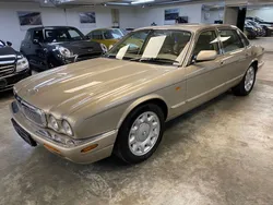 Gold Gebraucht 1998 Jaguar XJ8 Executive Limousine | 19.250 €