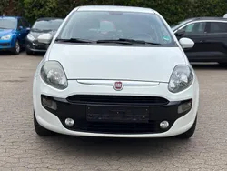 Weiß Gebraucht 2010 Fiat Punto Evo Kleinwagen | 1.599 € (Superpreis)