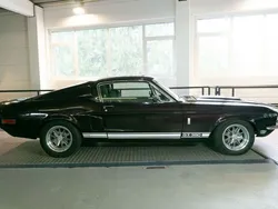 Ford Shelby