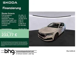 Moonweiß perleffekt/moonweis Gebraucht 2022 Skoda Octavia Clever Kombi | 22.430 € (Fairer Preis)