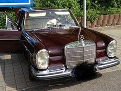 Rot Gebraucht 1966 Mercedes 250 Limousine | 25.000 €