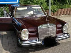 Rot Gebraucht 1966 Mercedes 250 Limousine | 25.000 €