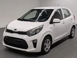 Schneeweiss Gebraucht 2019 Kia Picanto Kleinwagen | 8.480 € (Fairer Preis)