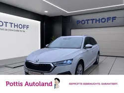 Weiss Gebraucht 2023 Skoda Octavia Style Kombi | 23.997 € (Guter Preis)