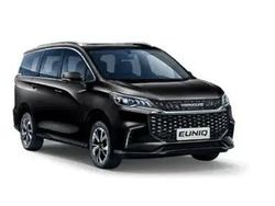 Black (schwarz) Gebraucht 2024 Maxus EG50 Van / Kleinbus | 34.550 €