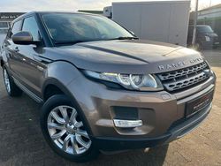 Gold Gebraucht 2015 Land Rover Range Rover evoque SUV | 8.950 € (Guter Preis)
