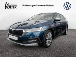 Lavablau Gebraucht 2022 Skoda Octavia Scout Kombi | 26.990 € (Fairer Preis)