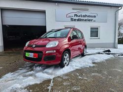 Rot Gebraucht 2013 Fiat Panda Kleinwagen | 4.000 € (Teuer)