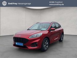 Rot Gebraucht 2024 Ford Kuga ST-Line SUV | 27.950 € (Guter Preis)