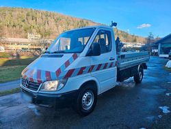 Weiß Gebraucht 2005 Mercedes Sprinter Van | 6.000 € (Superpreis)