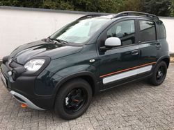 Grün metallic Gebraucht 2022 Fiat Panda Cross Cross Kleinwagen | 12.990 € (Etwas zu teuer)