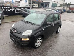 Colore esterno Gebraucht 2018 Fiat Panda Easy Kleinwagen | 7.990 € (Fairer Preis)