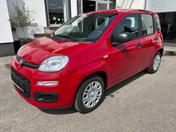 Rot Neu 2025 Fiat Panda Kleinwagen | 13.990 € (Fairer Preis)