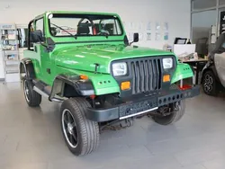 Grün Gebraucht 1995 Jeep Wrangler SUV | 14.900 €