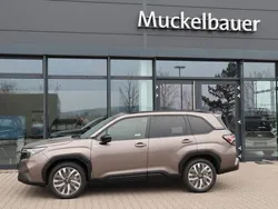 Braun Neu 2025 Subaru Forester Platinum SUV | 48.995 € (Teuer)