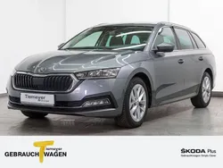 Grau Gebraucht 2023 Skoda Octavia Style Kombi | 26.980 € (Guter Preis)